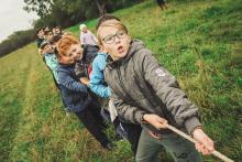 Miniaturansicht